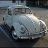 beetle99